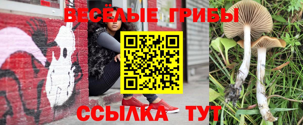 Горно-Алтайск  Галлюциногенные грибы прущие грибы  Вход с VPN 